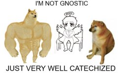NOT GNOSTIC NOT GNOSTIC
