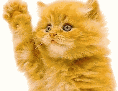 1ff4e88b36bcd5fa08b95df768825f1c5a977e65.gif